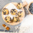 Blauwebes muffin
